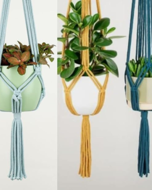 Arshlaza Macrame Zippy Cotton Plant Hangers